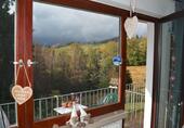Foto - 1 Zimmer Etagenwohnung zum Kaufen in Braunlage