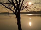 Foto - Mobilheim Wochenend- Ferienhaus Chalét am See (möbliert oder ohne