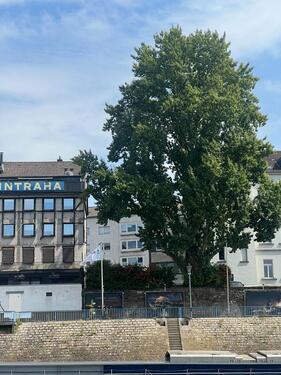 Foto - andere in Duisburg zur Miete