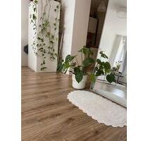 1-Zimmer-Wohnung - 550,00&nbsp;EUR Kaltmiete, ca.&nbsp; 48,00&nbsp;m&sup2; in Magdeburg (PLZ: 39106) Alte Neustadt