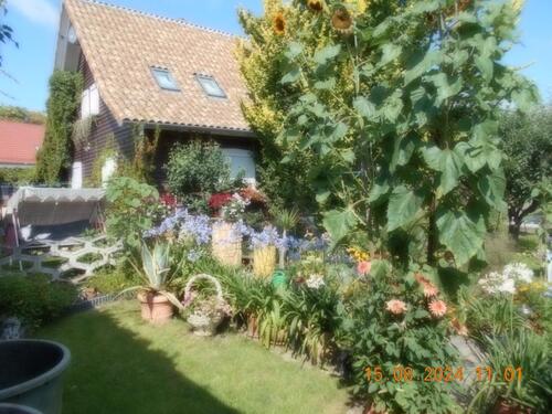 Foto - Vermiete wunderschönes ApartmentFewo in Dankerode, im Harz.