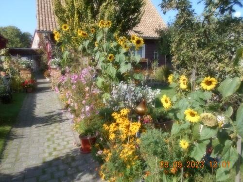 Foto - 
