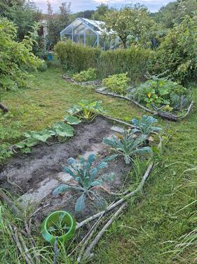 Foto - ANFRAGENSTOP! Kleingarten in Kassebohm abzugeben