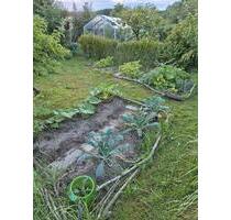 ANFRAGENSTOP! Kleingarten in Kassebohm abzugeben - Rostock Hansaviertel