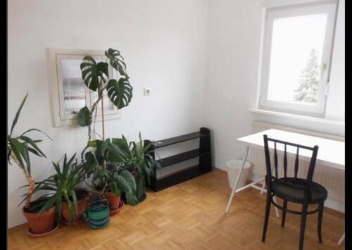 Foto - Charmantes Zimmer in zentraler 3er-Frauen-WG (Darmstadt)