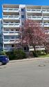 Foto - 3 Raum Wohnung frisch renoviert mit Balkon (Westseite)