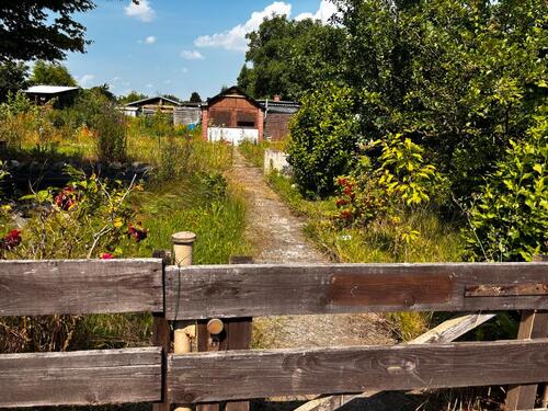 Foto - ❤️ Garten zu verpachten Delitzsch ab sofort Pachtgarten ❤️