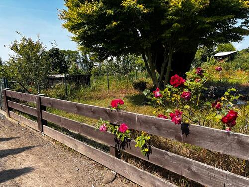 Foto - Grundstück in Delitzsch