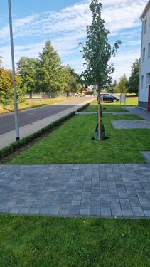 Foto - Helle 2-Raum-Wohnung mit Blick ins Grüne im Zentrum von Irxleben