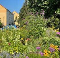 Ruhige Wohnung mit Balkon und Einbauküche - Ballenstedt
