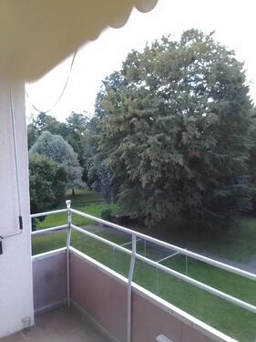 Foto - 