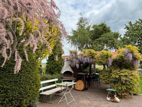 Foto - Einfamilienhaus in Kemberg