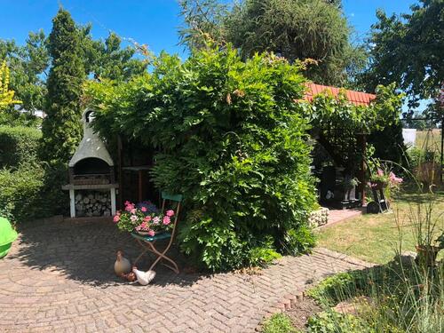 Foto - Einfamilienhaus in Kemberg zum Kaufen