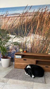 Foto - Hübsches Einfamilienhaus in Königslutter mit Eigentumsgrundstück