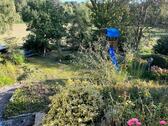 Foto - Einfamilienhaus in Elze zum Kaufen