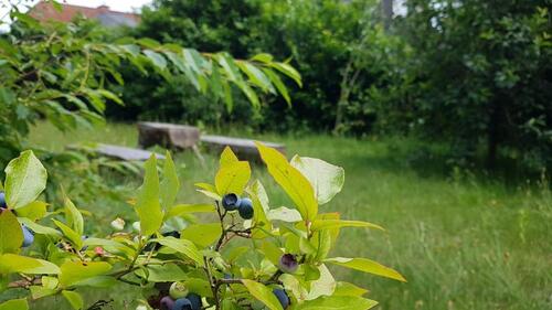 Foto - Einfamilienhaus in Hannover