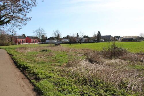 Foto - Mini Acker zur Pacht in Kerpen - 50,00&nbsp;EUR Kaltmiete, ca.&nbsp; 150,00&nbsp;m&sup2;