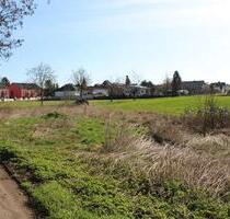 Mini Acker zur Pacht in Kerpen - 50,00&nbsp;EUR Kaltmiete, ca.&nbsp; 150,00&nbsp;m&sup2; in Kerpen (PLZ: 50169) Balkhausen