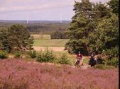 Foto - Urlaub mit eigenem Pferd Kirchdorferheide