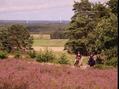 Foto - Urlaub mit eigenem Pferd Kirchdorferheide