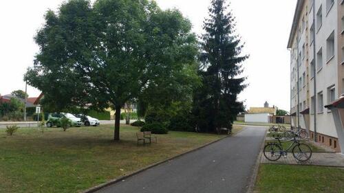 Foto - Dachgeschoßwohnung in Zwenkau zur Miete