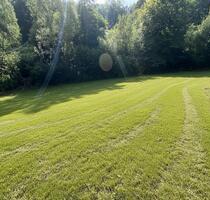 Ihr Grundstück an der Mosel – 759 m², Bachlauf, sofort bebaubar - Traben-Trarbach