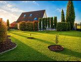 Foto - Einfamilienhaus in Rheinau zum Kaufen