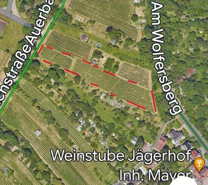 Foto - Gartengrundstück Garten zu verpachten - groß, tolle Lage