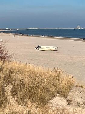 Foto - Ferienwohnung Ostsee - 50,00 EUR Kaltmiete,