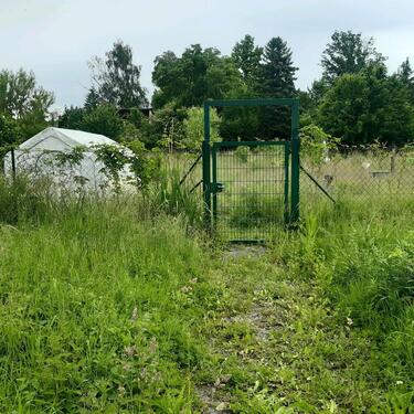 Foto - Kleingarten 320m2 in ruhige Lage, Laubegast Kleinzschachwitz