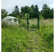 Kleingarten 320m2 in ruhige Lage, Laubegast Kleinzschachwitz - Dresden Blasewitz