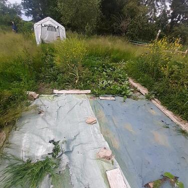 Foto - Grundstück in Dresden zur Miete