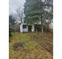 Frei ? Der Frühling ist da. Pacht Garten sofort nutzbar.!! - Südliches Anhalt Pfaffendorf