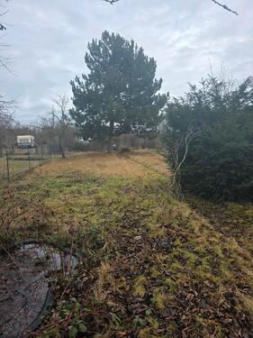 Foto - Grundst&uuml;ck zur Miete in Südliches Anhalt