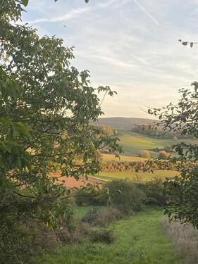 Foto - Grundstück in Groß-Umstadt zur Miete