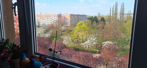 Foto - Etagenwohnung in Stendal zur Miete