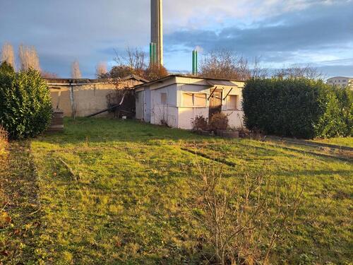 Foto - Pachtgarten Garten Schrebergarten Altstadt e.V. WSF Süd