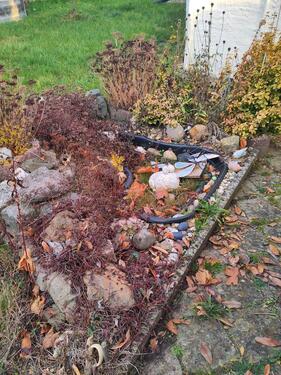 Foto - Grundst&uuml;ck in Weißenfels