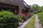 Foto - kleine, charmante Ferienwohnung in Ostseenähe