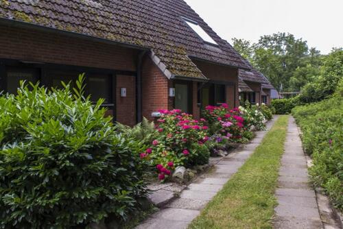 Foto - kleine, charmante Ferienwohnung in Ostseenähe