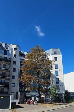 Foto - *Büro_Praxis-Etage*4.OG* Lift und behindertengerechter Zugang****