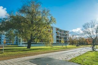 Foto - Etagenwohnung in Wolfsburg zur Miete