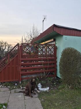 Foto - Grundst&uuml;ck in Rostock