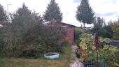 Foto - Schöner Kleingarten in Holzhausen Leipzig 300m2
