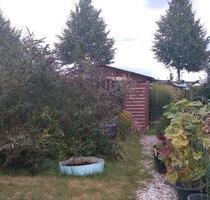 Schöner Kleingarten in Holzhausen Leipzig 300m2