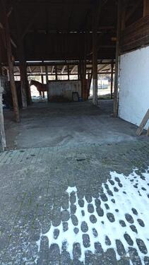 Foto - andere in Ferdinandshof