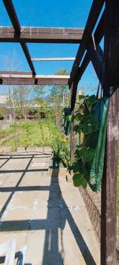 Foto - Grundstück in Gera zur Miete