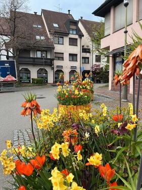Foto - Tiefgarage Stellplatz - 75,00&nbsp;EUR Miete,