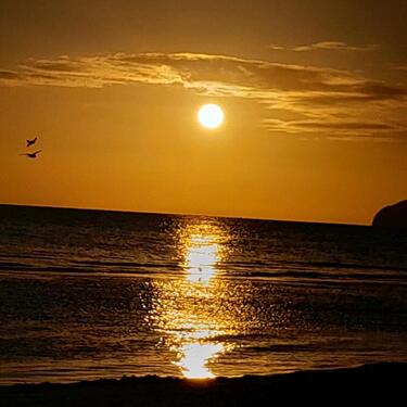 Foto - andere in Binz