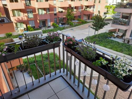 Foto - Etagenwohnung in Bonn zur Miete